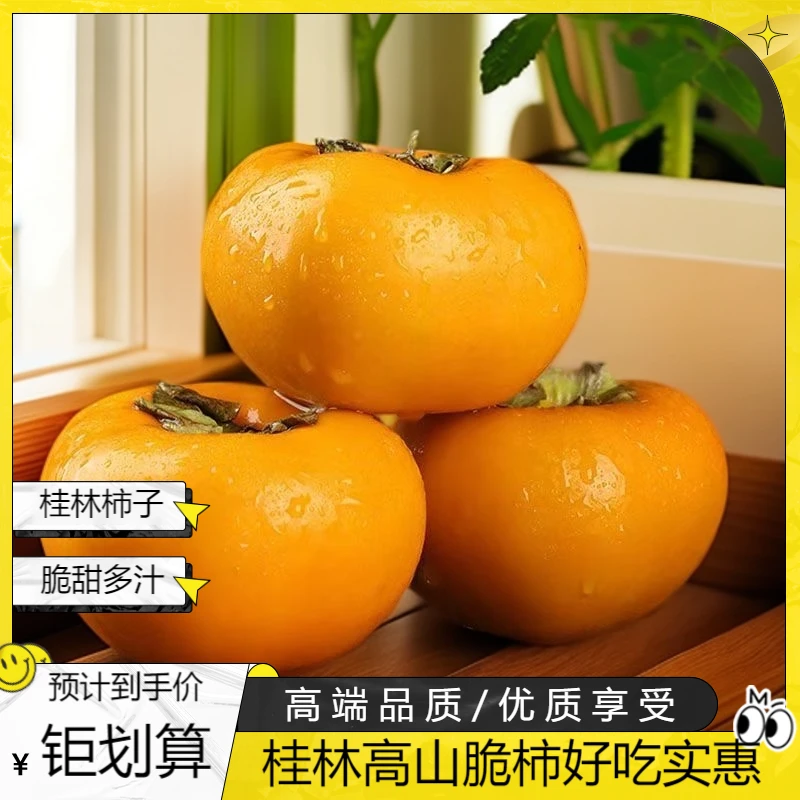 桂林柿子脆柿天然柿子巧克力脆柿脆甜多汁爽口好吃