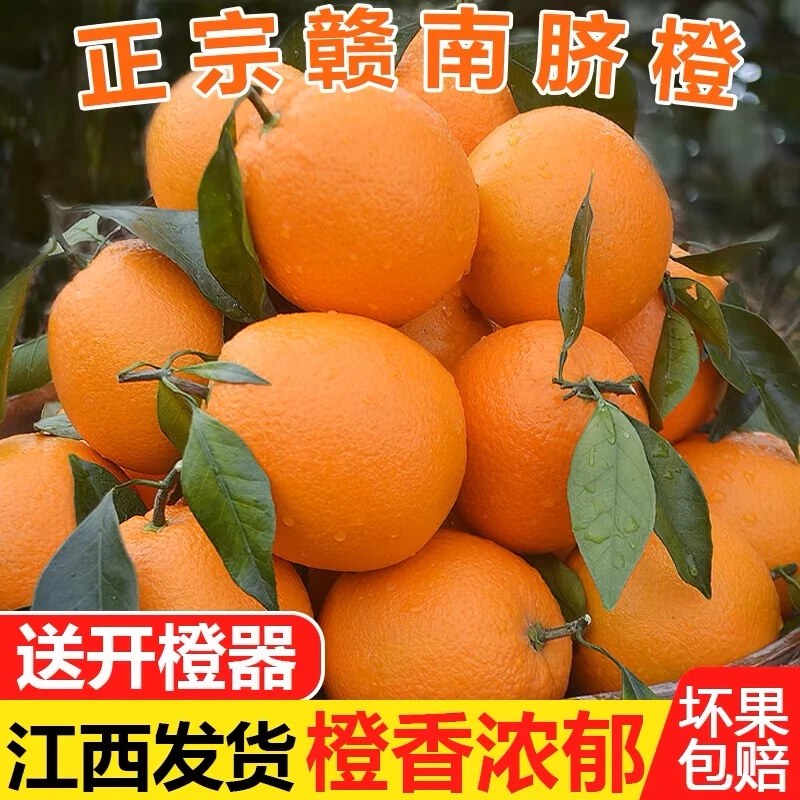 江西正宗赣南脐橙农家水果剥皮橙甜橙子新鲜橘子阳光细腻皮薄酸甜