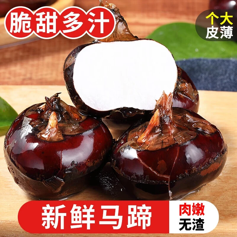 【脆甜奶香】新鲜清甜脆爽马蹄荸荠特大地梨多汁地栗应季水果蔬菜
