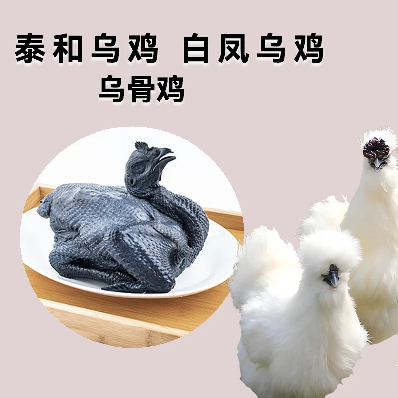 乌鸡泰和白凤乌鸡农家养殖鸡毛总5斤包邮到家