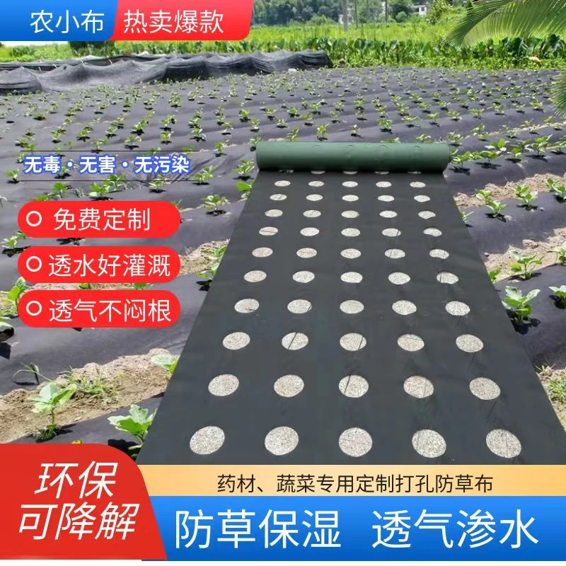 定制加厚开孔防草布全新农业纤维耐腐蚀批发园林黑色地膜农用薄膜