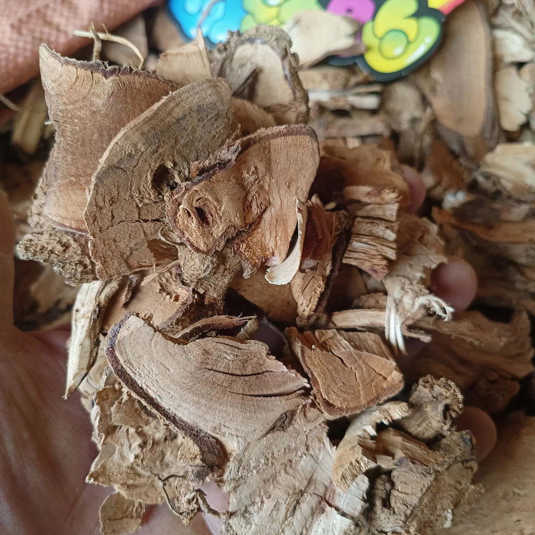 云南特产千斤拔干货自然晾晒