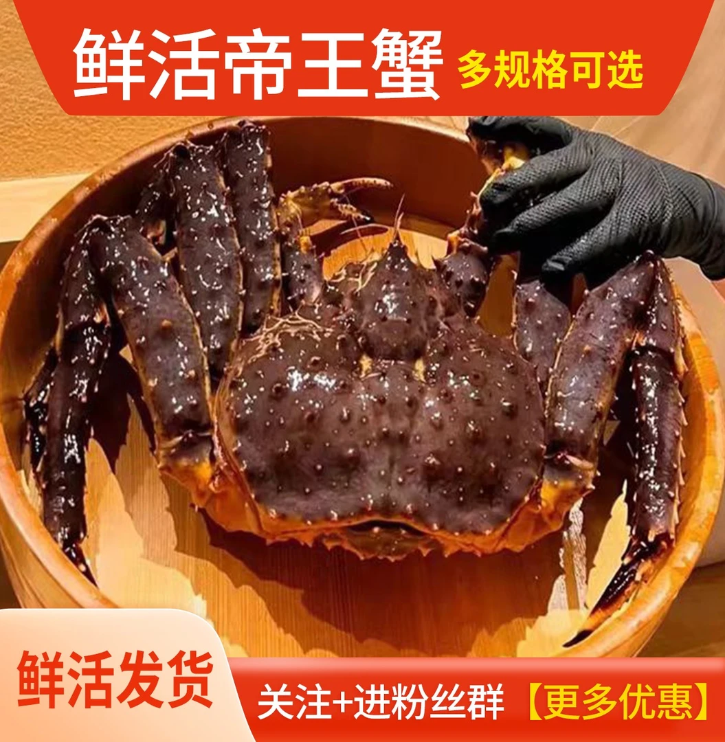 鲜活帝王蟹 3斤-5.5斤 多个规格