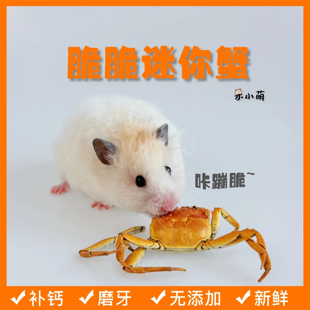 脆脆迷你螃蟹金丝熊仓鼠磨牙补钙零食烘干小螃蟹