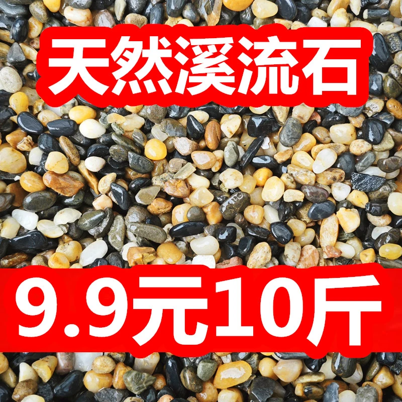 原生鱼缸底砂造景沙溪流砂溪流石沙子雷龙龟缸天然河沙石美大肌砂