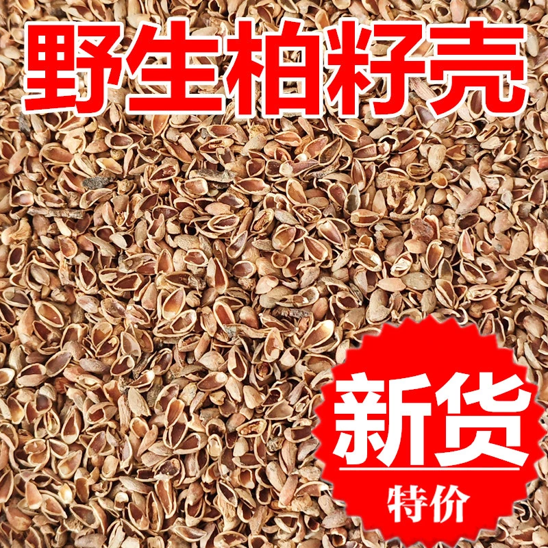 柏籽壳植物枕芯 沂蒙山野生侧柏壳子 枕芯枕头填充种子外壳免洗
