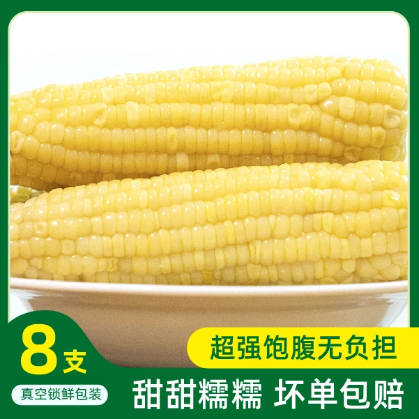 新玉米 内蒙黑土地种植非转基因玉米 200g*8根
