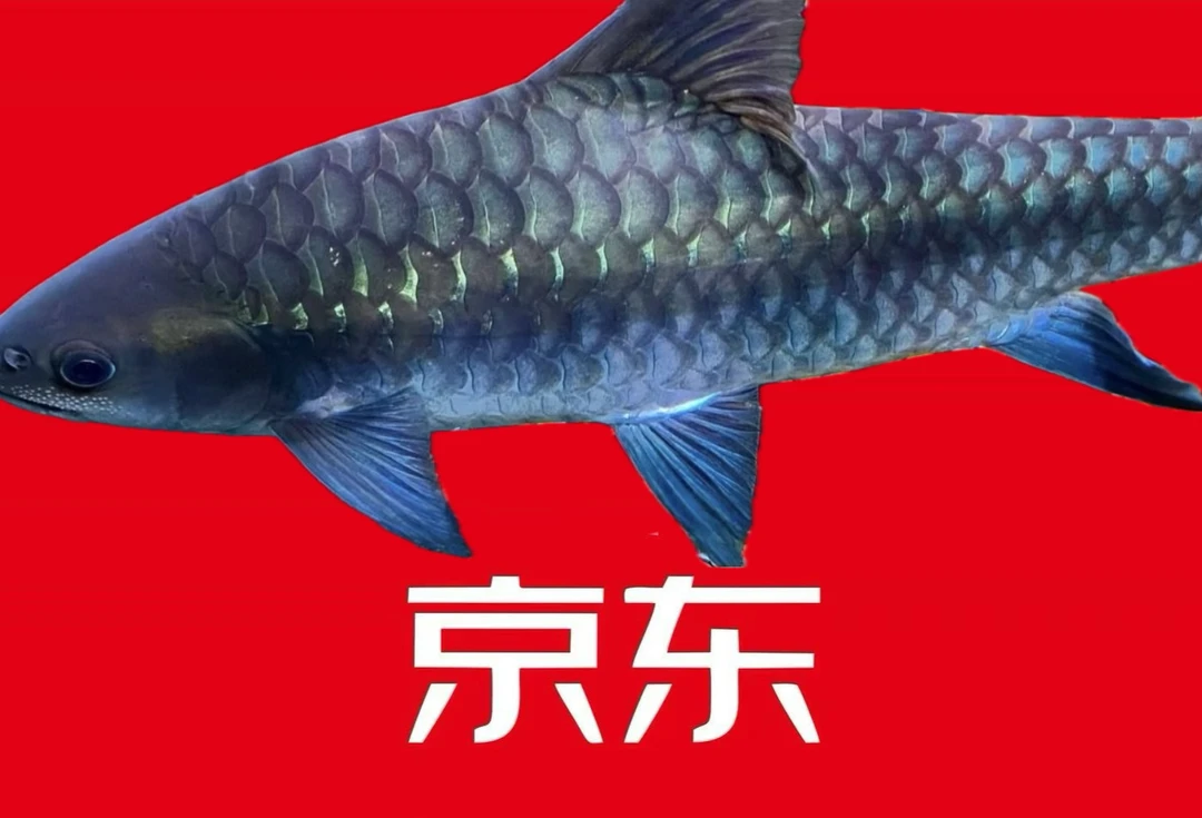 京东！原生鱼运费专用链接（售后需要完整开箱视频）