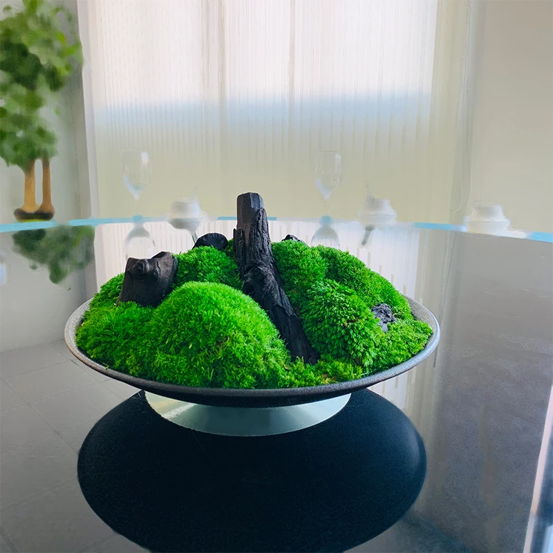 酒店餐桌转盘装饰景观大圆桌中间摆件禅意永生苔藓桌花摆设
