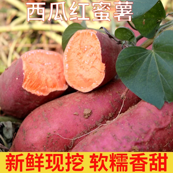 「K妈臻选」山东新鲜地瓜西瓜红5斤装农家自种甜心红薯烤地瓜现挖