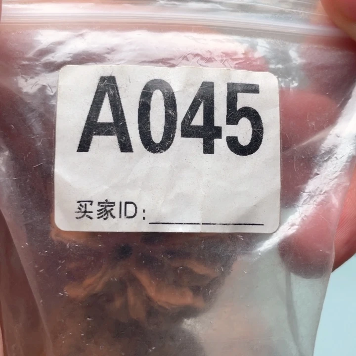 文玩核桃把件萌045苹果园
