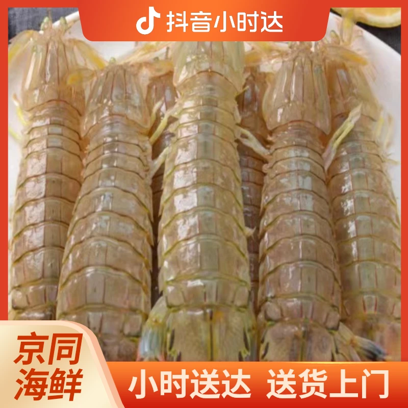 鲜活皮皮虾500g
