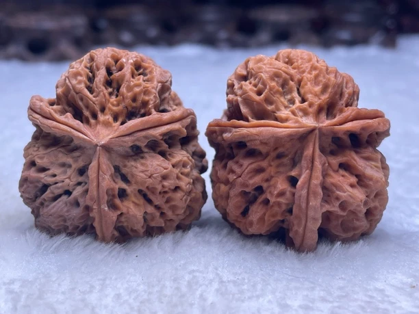 蛮荒古蟾42mm-云南铁核桃