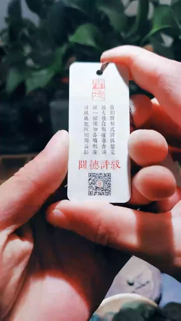 【闪购商品】宋散111