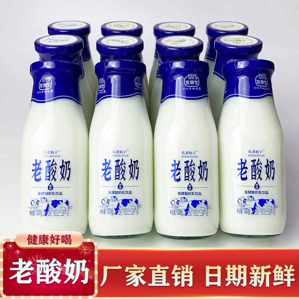 低脂老酸奶整箱工厂直发老牌子原味乳酸菌奶发酵学生营养早餐饮品
