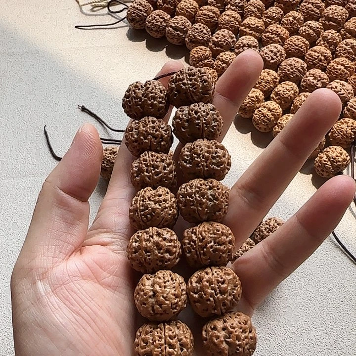 金刚菩提手串佟****记24mm安娜双龙