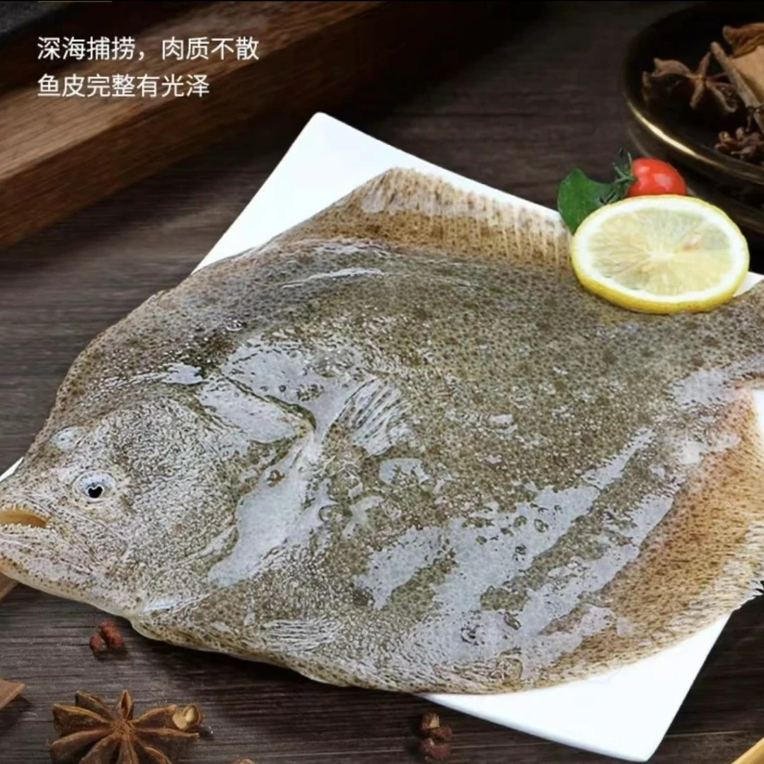 连云港发货 精品多宝鱼新鲜捕捞冷450克左右/条 到手6条