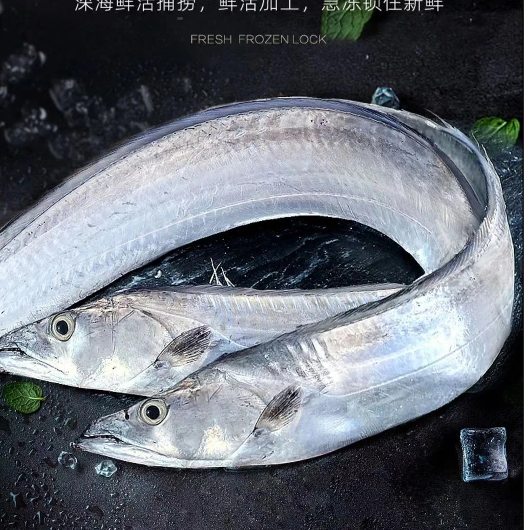 精选新鲜带鱼一斤/条 野生海钓带 油带 到手 五条
