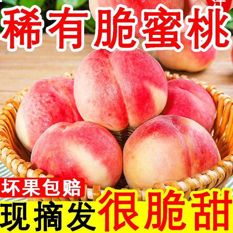 【爆甜】桃子水蜜桃新鲜现摘超甜水果应季一整箱当脆毛桃