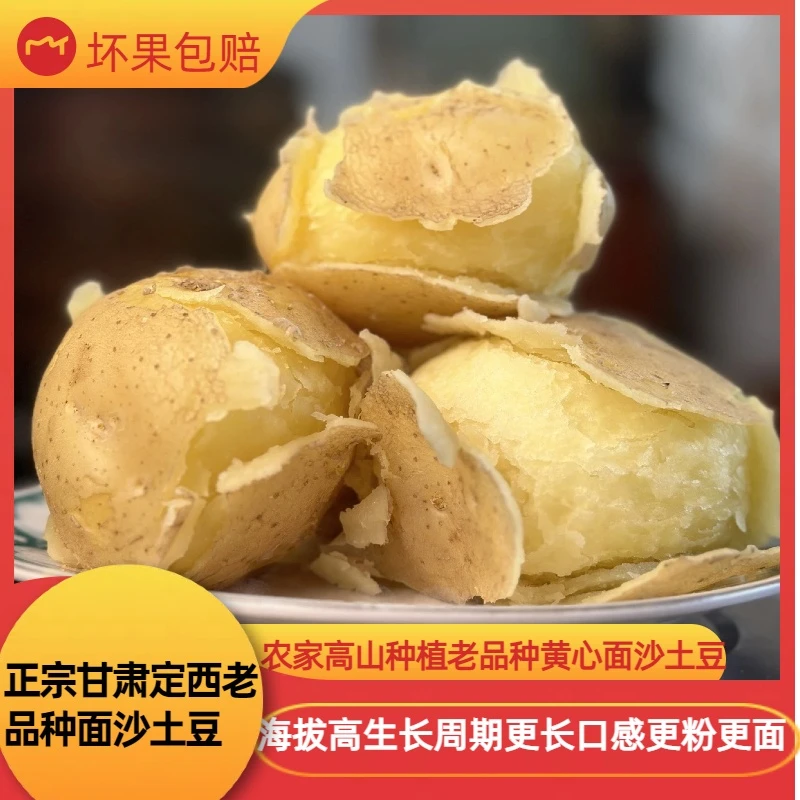 甘肃定西旱沙地黄心沙面土豆洋芋马铃薯（包邮）