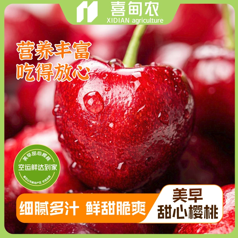 【喜甸农】山东美早甜心樱桃精品新鲜应季水果空运香甜多汁产地直发