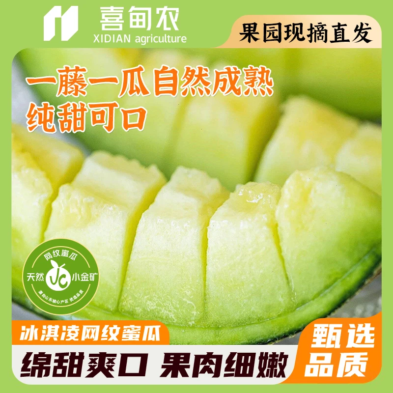 【喜甸农】冰淇淋网纹蜜瓜 精品礼盒装 正宗纯甜新鲜应当季水果玫珑