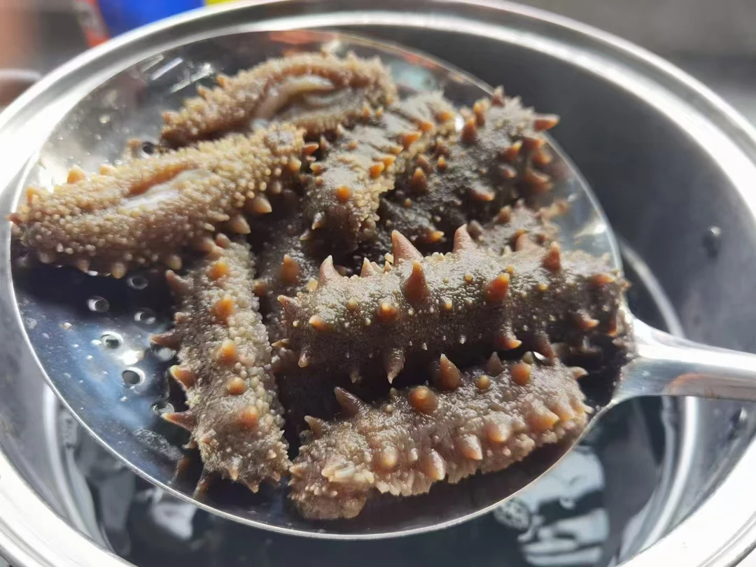 即食海参10只【一小时送货到家】