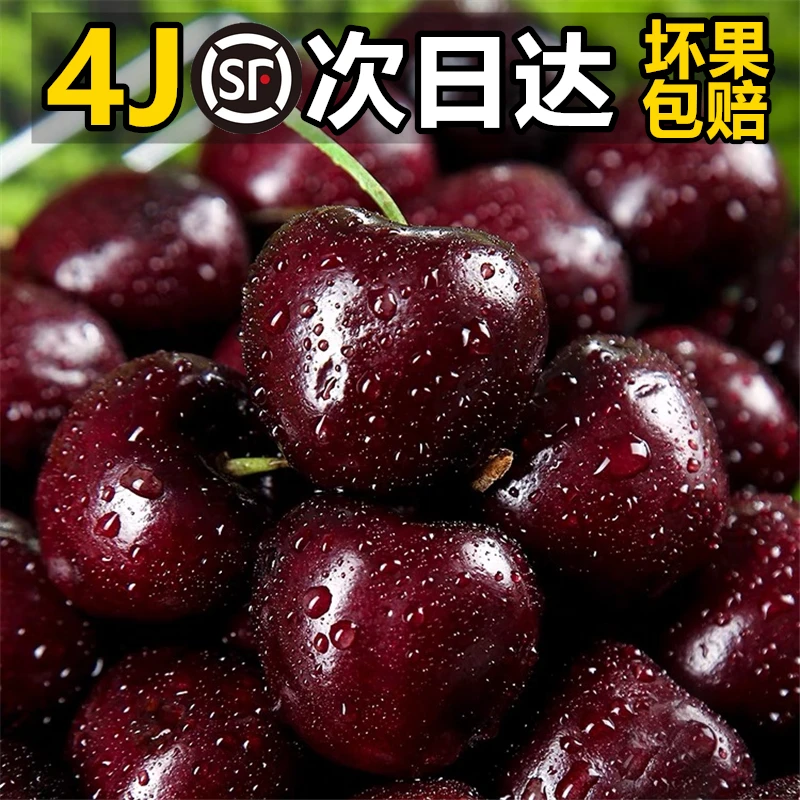 智利进口车厘子1-5斤装J-4J级大樱桃新鲜水果孕妇顺丰包邮礼盒装