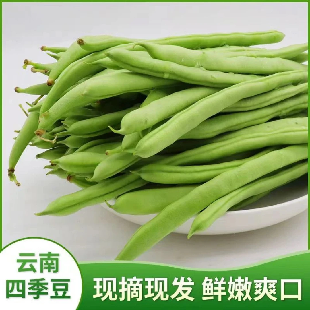 【高山头茬四季豆3斤】云南新鲜采摘【四季豆】芸豆蔬菜无筋豆长豆