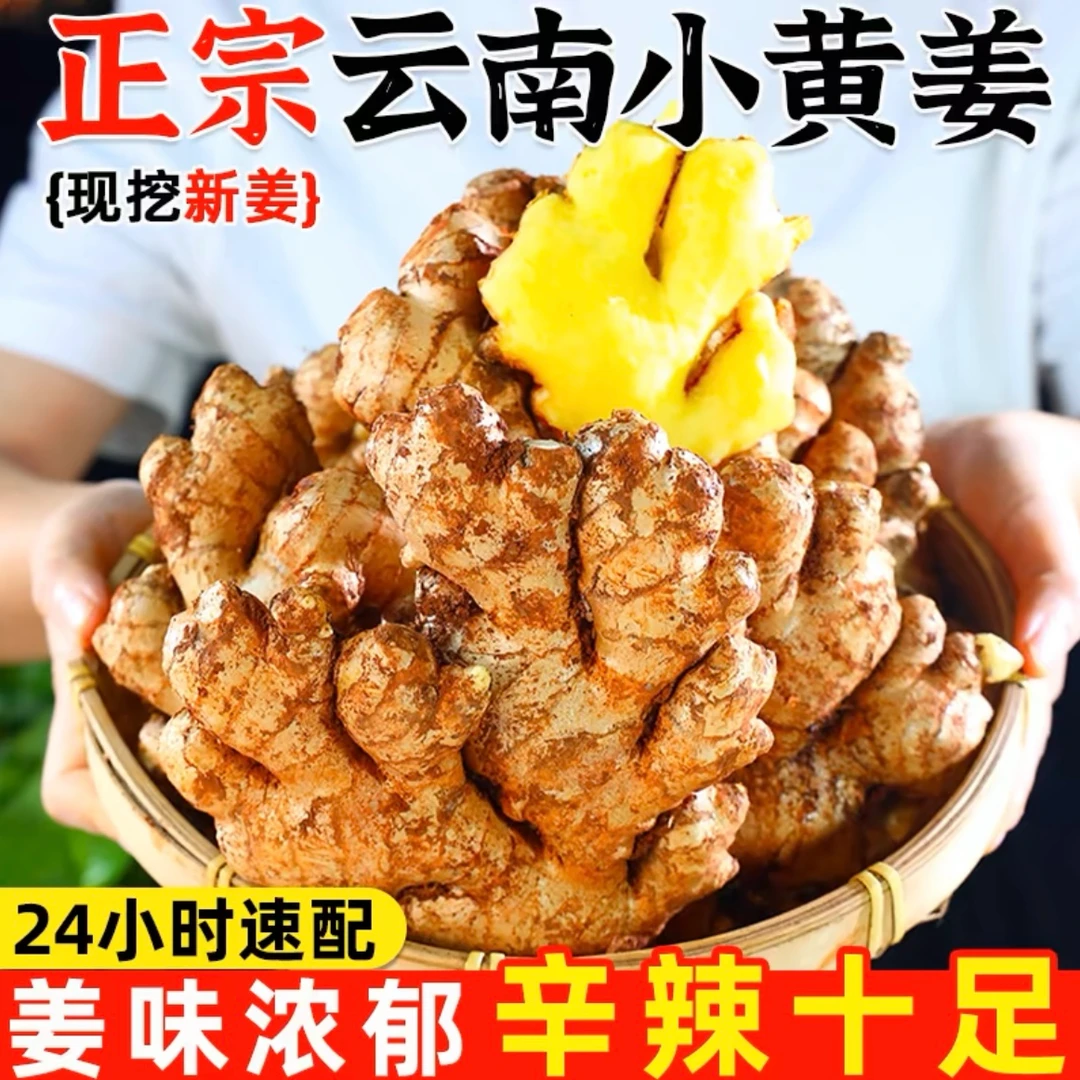 团-云南小黄姜新鲜生姜老姜嫩姜现挖高山沙姜土姜种子时令蔬菜