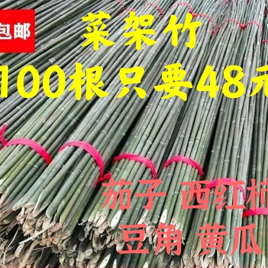 竹竿篱笆围栏竹子豆角菜园葡萄架小蔬菜爬藤种菜专用支架批发包邮