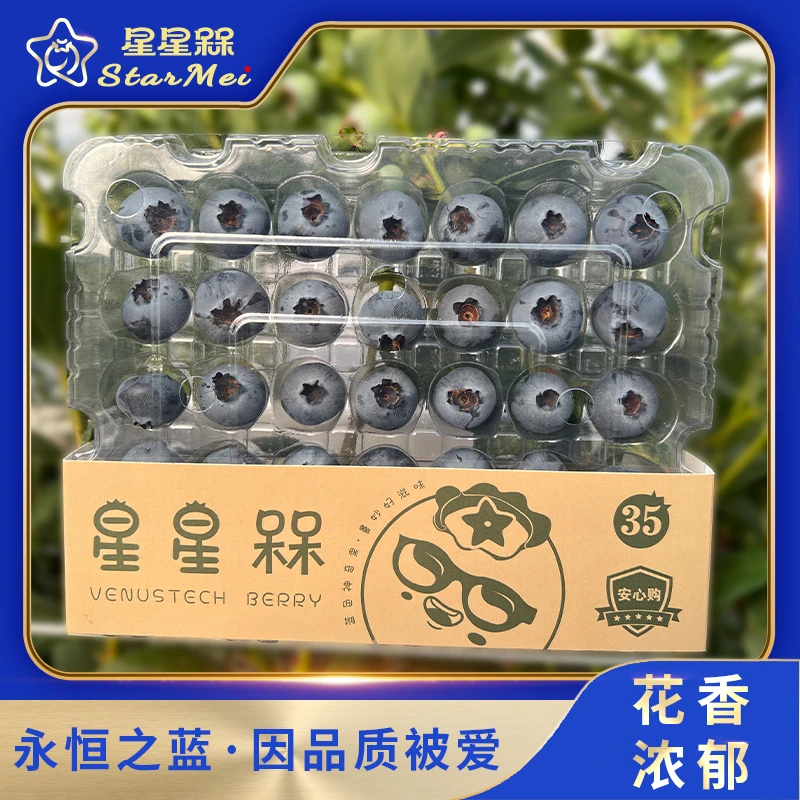 【开园福利】进口品种高山蓝莓头茬花香甜脆蓝莓脆甜爆汁宝宝辅食