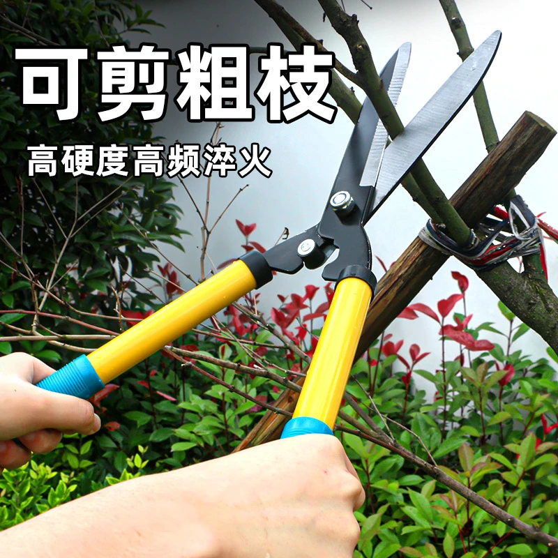 园艺大剪刀园林花剪修枝剪修剪草坪专用绿篱剪强力修剪树枝粗枝剪
