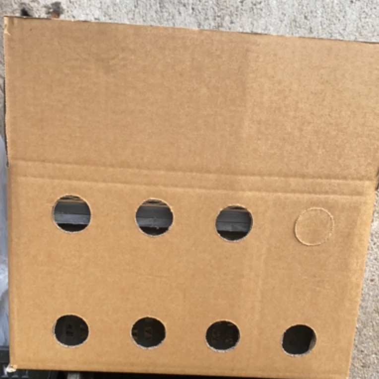 运输笼一套  运输专用 纯色小号0.4斤左右运输笼