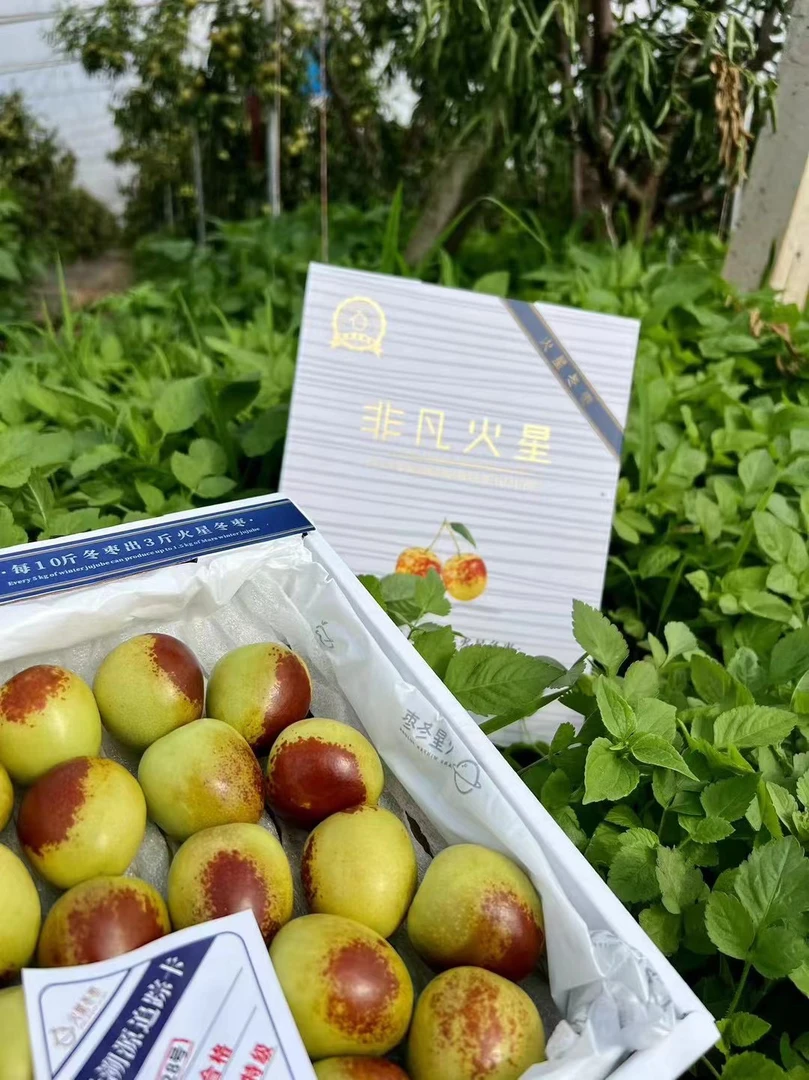 火星冬枣2.4斤，出口级品质；鲜嫩、爽脆、甜度爆表！枣味浓，不是所有枣都叫“火星冬枣”，一口甜蜜，脆甜化渣！