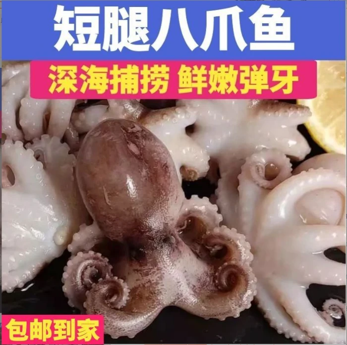 迷你八爪鱼鲜活冷冻免处理新鲜网红爆头短腿小章鱼去内脏水产商用