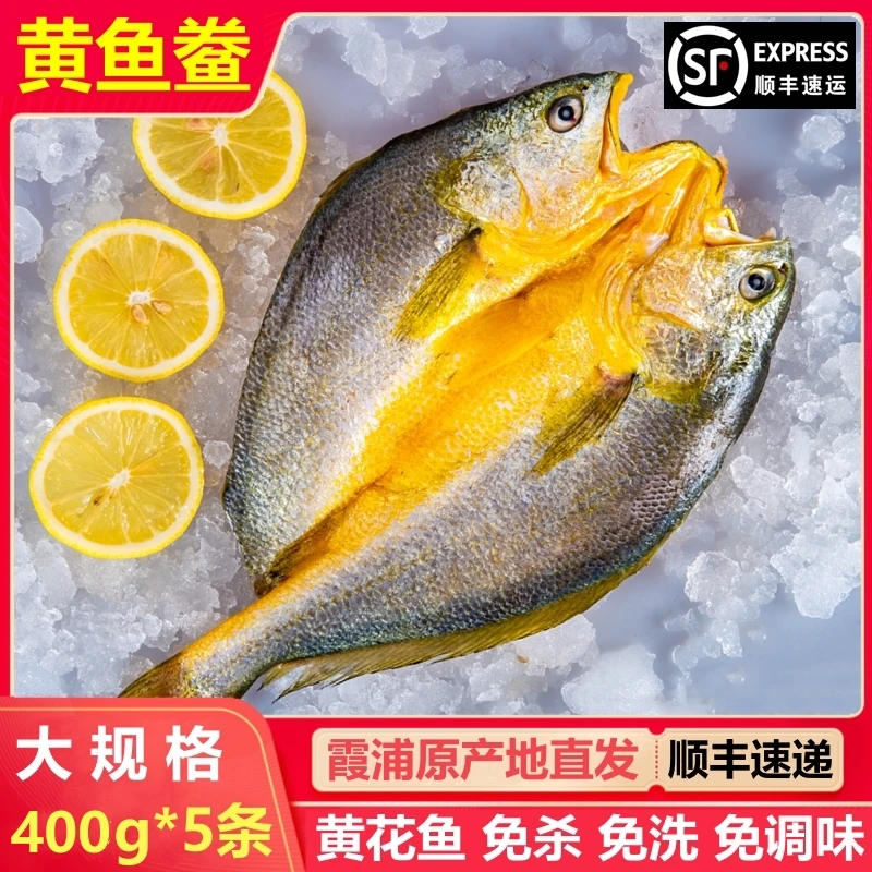 【400gX5条】宁德霞浦黄鱼鲞 咸香大黄花鱼 免杀免洗 400g/条