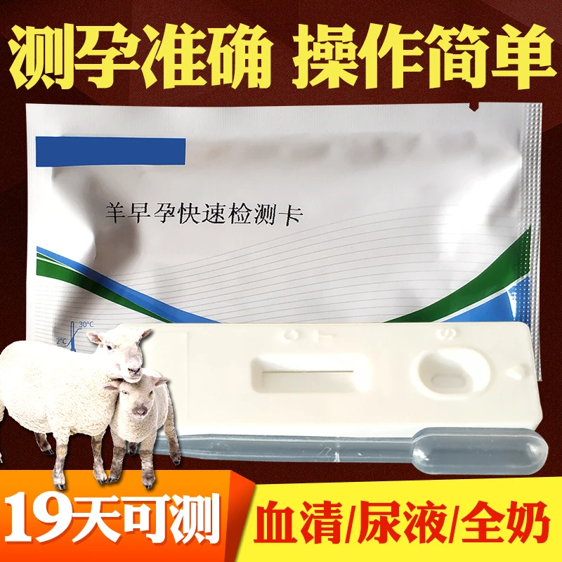 母羊怀孕试纸兽用试纸母羊测孕纸早孕验孕纸测试纸羊用检测试剂盒