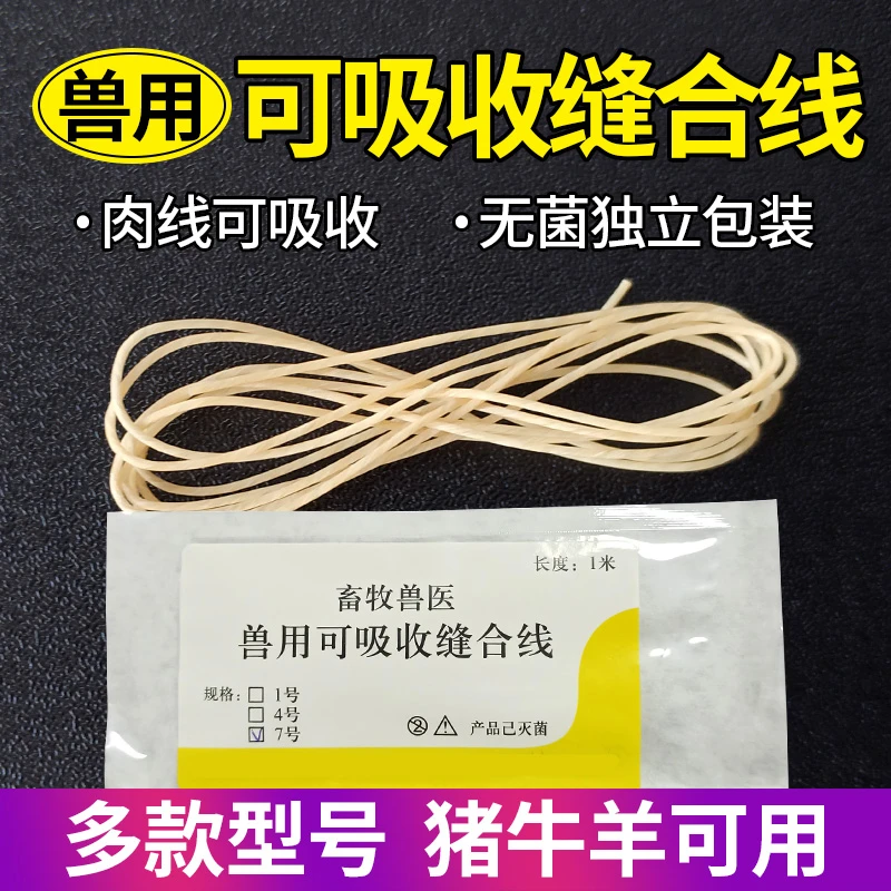 兽用可吸收缝合线外科手术宠物牛羊蛋白线羊肠埋线可吸收肉线