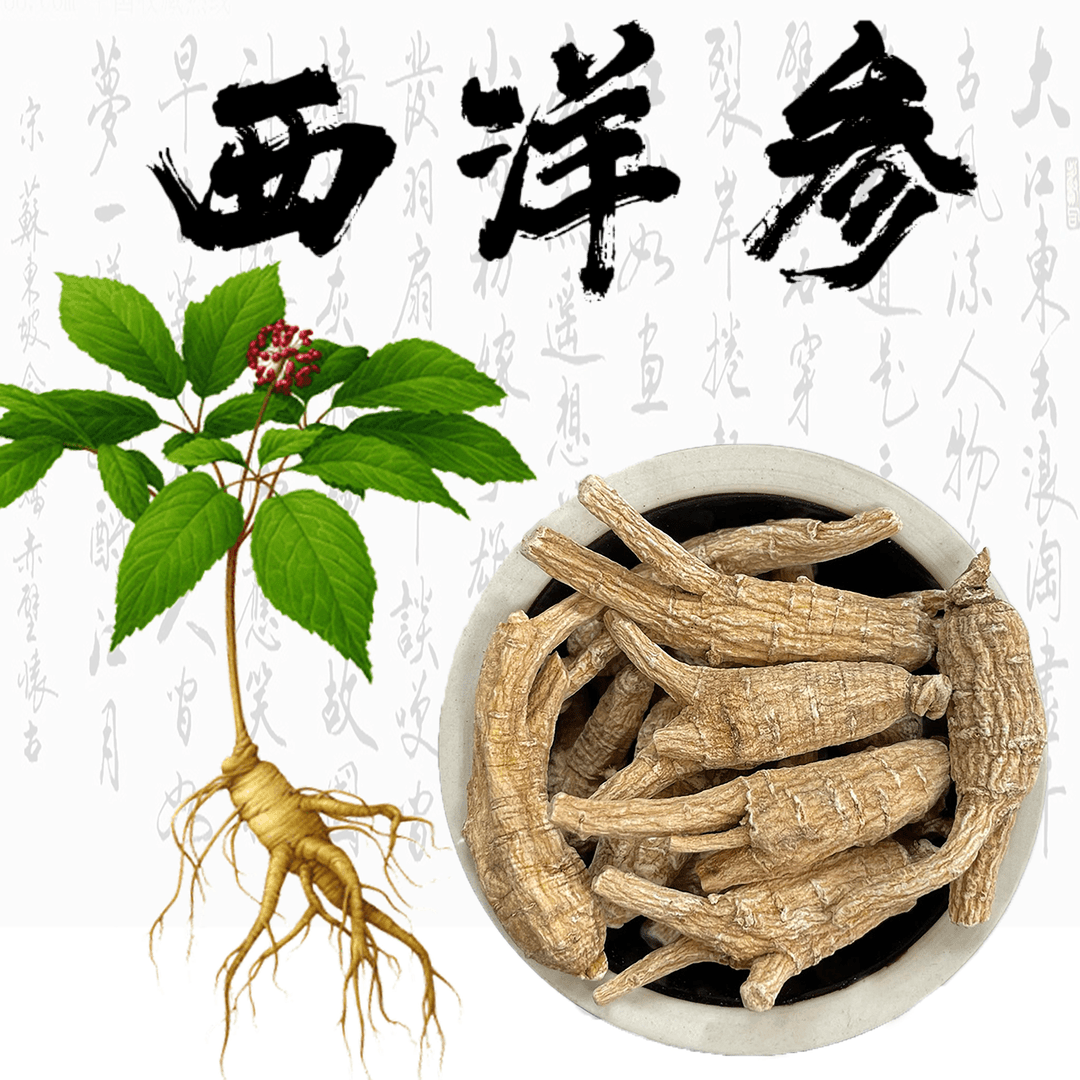 【源生太品】西洋参50g