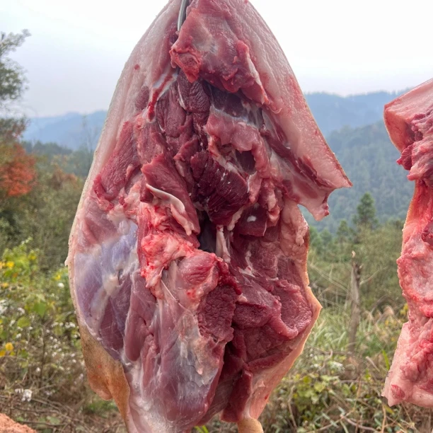 【前腿后腿排骨】湖南农家湘西农家土猪肉跑山猪放养黑猪肉现切现称