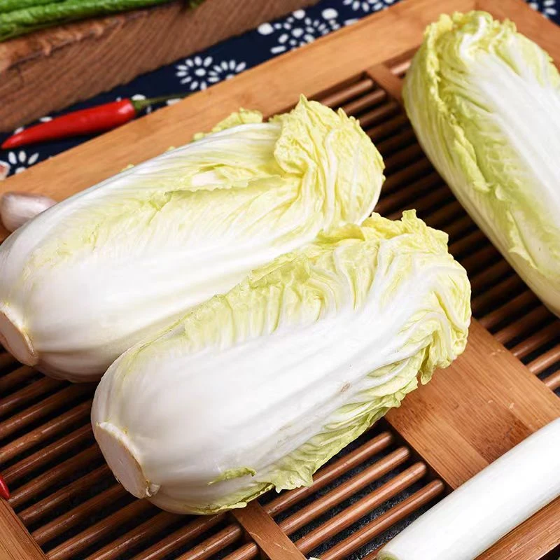 襄阳农家娃娃菜新鲜蔬菜农家菜黄心鲜冬季现摘非白菜火锅配菜食材