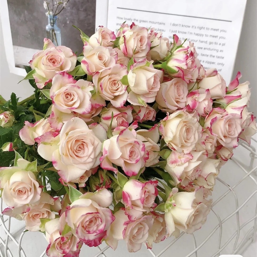 鲜花~多头玫瑰~折射（签收后超24小时，不售后）