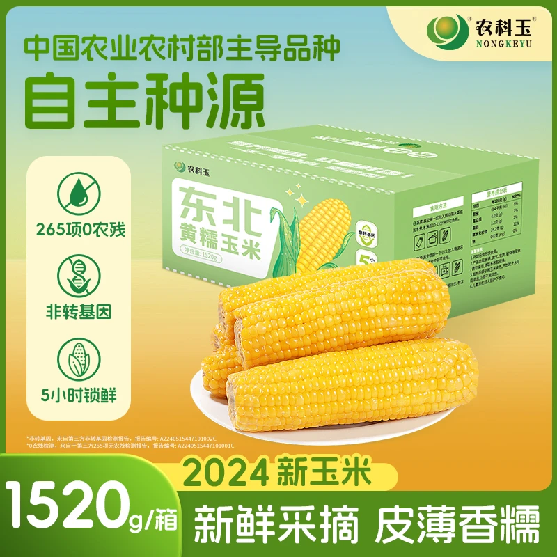 农科玉小黄糯190g*8根五常黑土地黄粘糯玉米较嫩皮薄肉嫩1520g/箱
