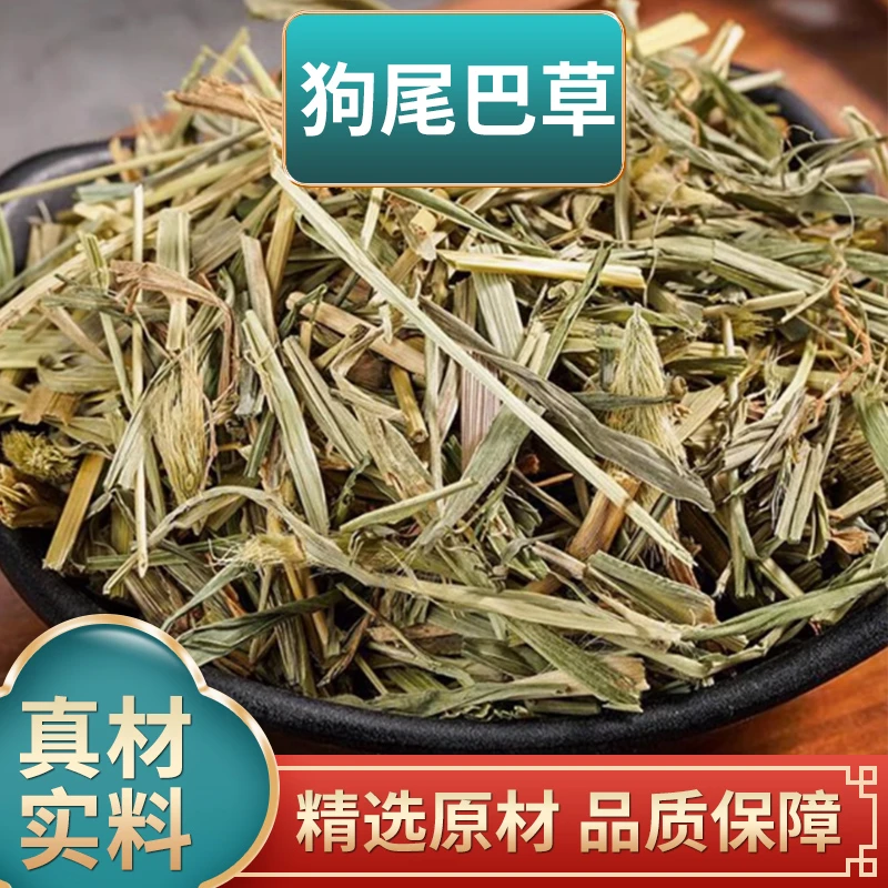 狗尾巴草中药材干货甘毛毛草九尾草狗尾草干毛虫草谷莠子九尾草