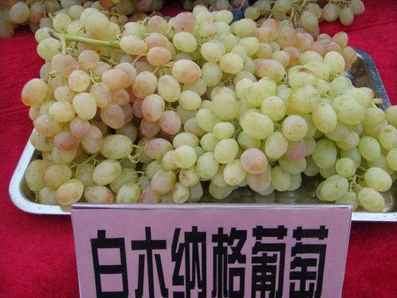 【顺丰空运】新疆木纳格葡萄果香浓郁葡萄头茬现摘脆甜有籽新疆直发