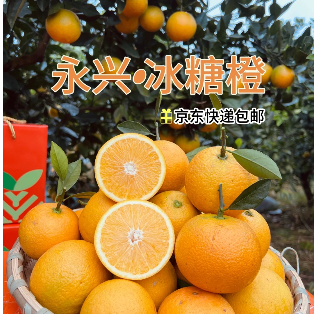 【正宗永兴冰糖橙】郴州特产涌水灌基地现摘当季甘甜香脆多汁甜橙