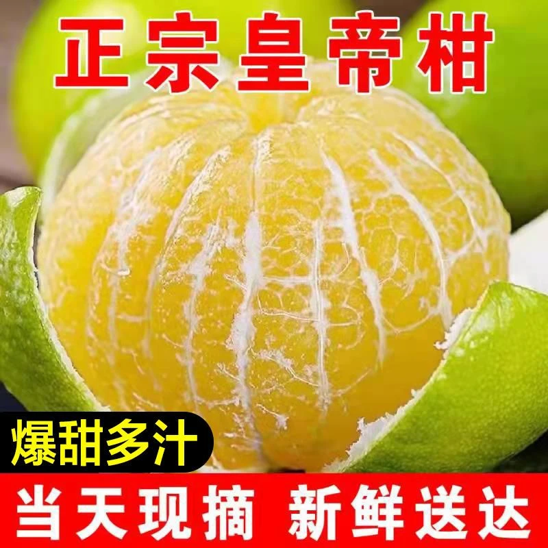 【纯甜多汁】正宗广西武鸣皇帝柑新鲜果贡柑橘子黄帝柑大果薄皮品质