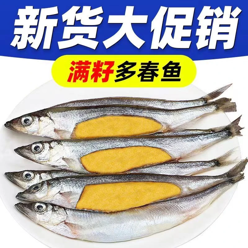 【长建专属】大大号满籽多春鱼海捕冰鲜秋冬多籽鱼香煎净重300g顺丰