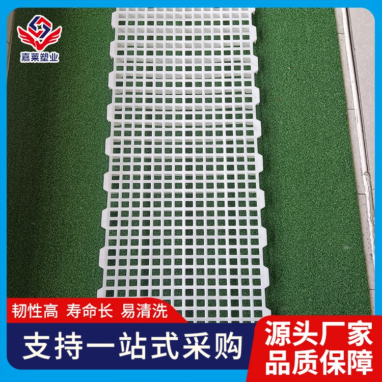 鸡鸭鹅猪牛羊鸽子狗兔用塑料漏粪板养殖场用品接粪地板鸡舍漏屎板